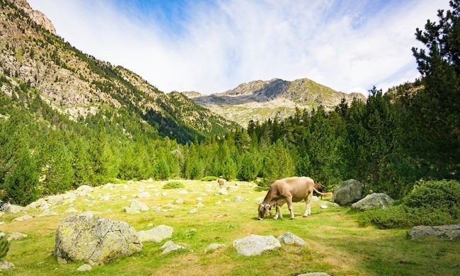 Qué hacer en el Parque Nacional Aiguestortes (1)