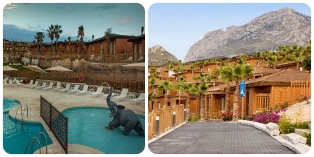 Hoteles temáticos de animales en Valencia