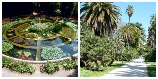 Jardín Botánico en Roma