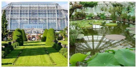 Jardín botánico de berlin