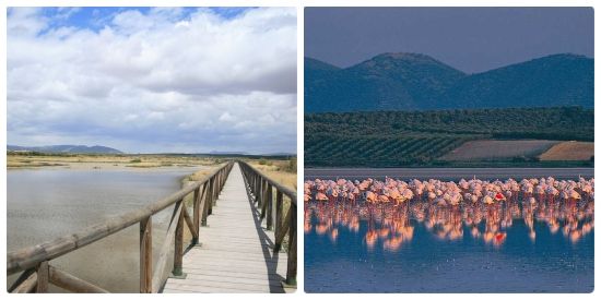 Laguna Fuente de Piedra en Antequera