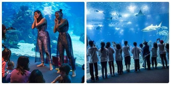 Oceanario lisboeta