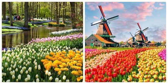 Qué parques y jardines visitar en Ámsterdam