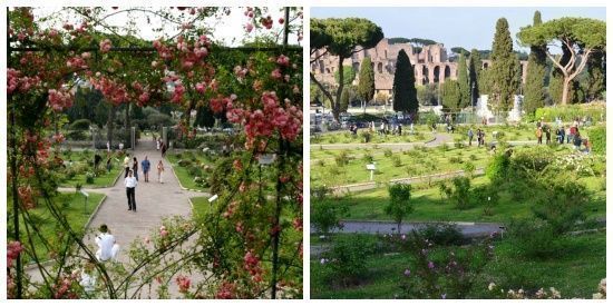 Rosal Municipal en Roma