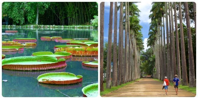 Excursiones y tours para hacer en Río de Janeiro