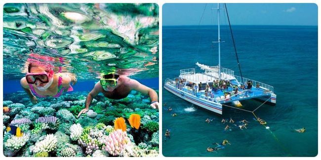 Hacer snorkel en Miami