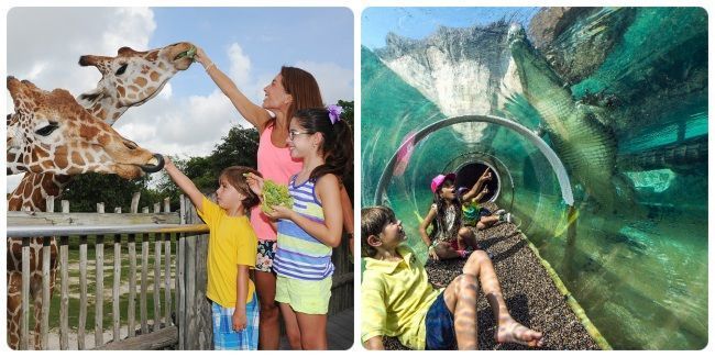 Qué hacer con niños en Miami