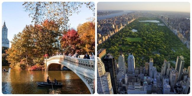 Qué hacer en Central Park de new york