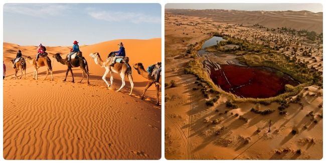 Qué hacer este fin de semana en Marrakech (1)