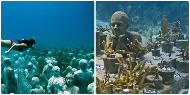 Realizar excursión a MUSA en cancún