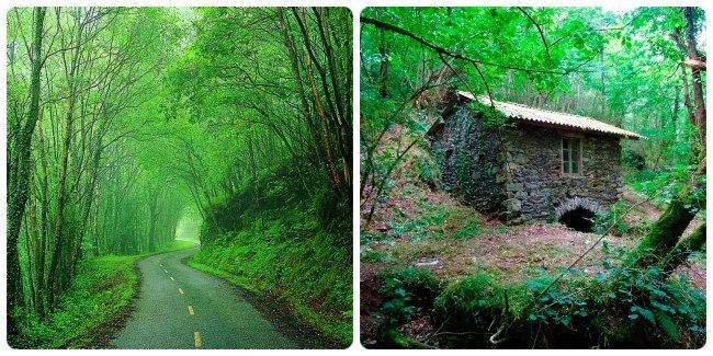 Rutas senderistas en Cudillero