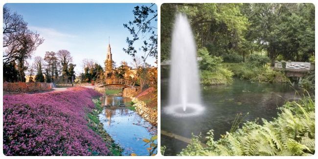 Visitar el jardín botánico de Gijón