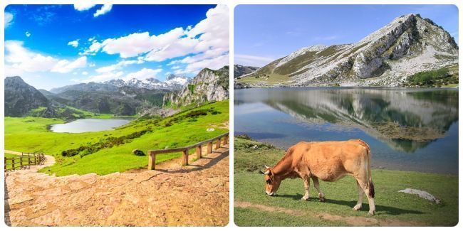 Visitar los lagos de covadonga