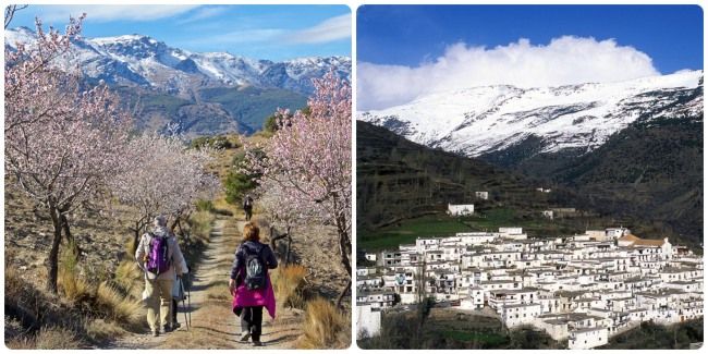 Hacer una excursión a Sierra Nevada