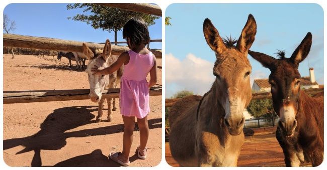Actividades para realizar con hijos en Málaga