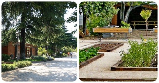 Centro de Información y Educacion Ambiental