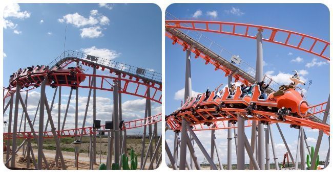 Correcaminos, Bip Bip