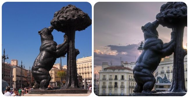 El oso y el Madroño