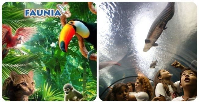 Faunia