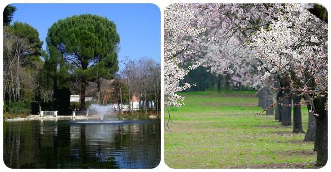 Parque Quinta de los Molinos