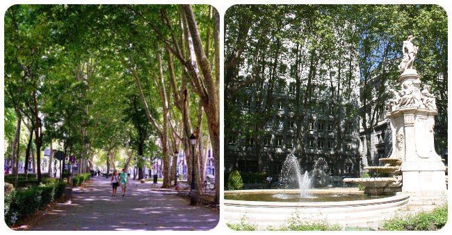 Paseo del Prado