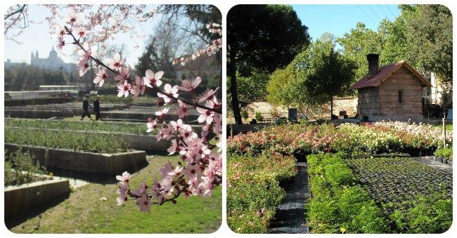 Vivero de Casa de Campo