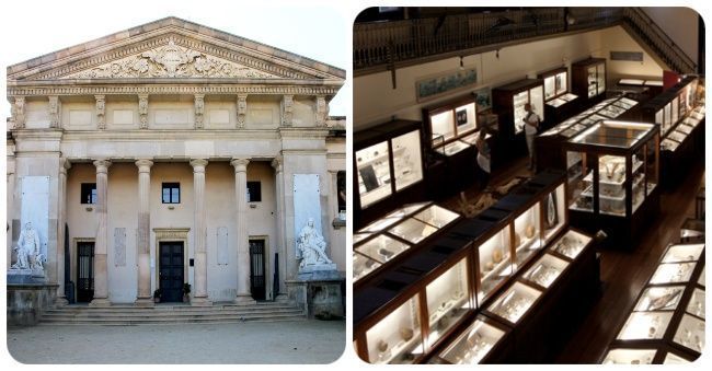 Museo de Geología Martorell