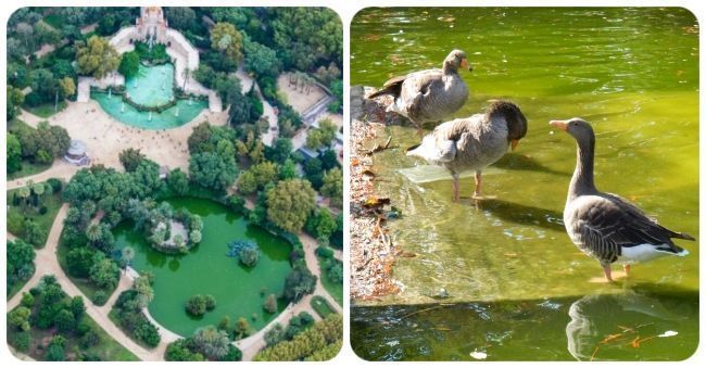 Naturaleza del Parque de la Ciudadela