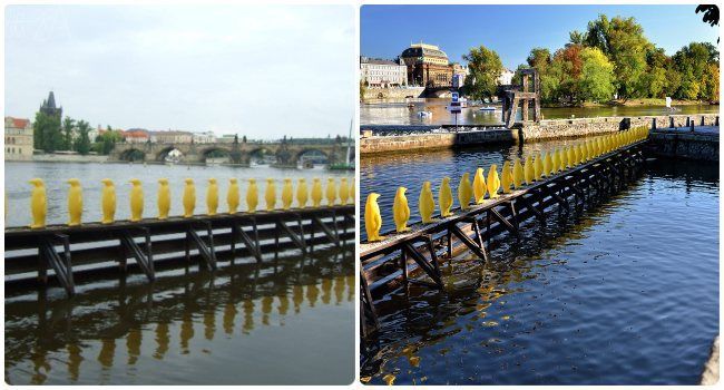 Cuándo visitar isla de Kampa