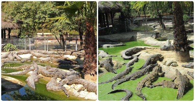 Actividades para realizar en familia en Torremolinos