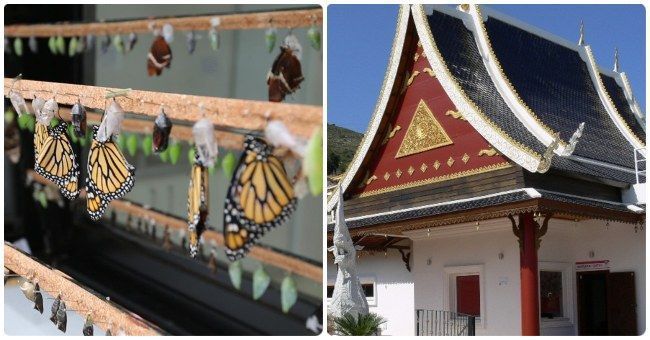 Actividades turísticas para hacer en Benalmádena