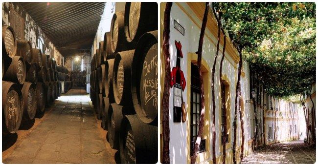 Cuál es la mejor época para viajar a Jerez