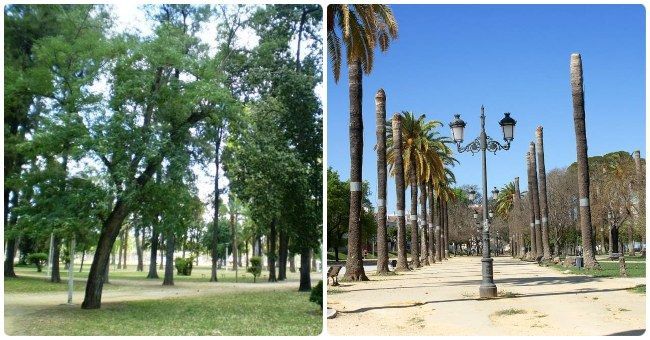 Cuáles son los mejores parques de Jerez