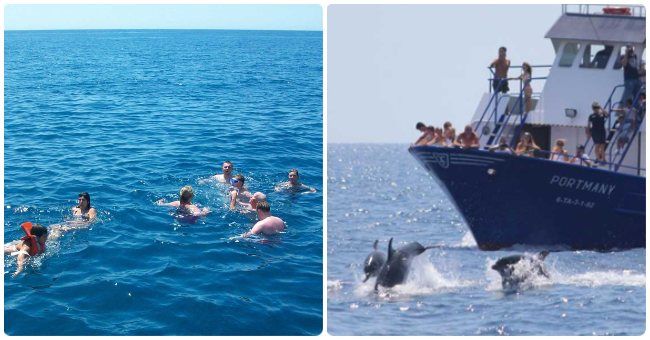 Mejores excursiones y tours para hacer en Fuengirola