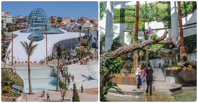 Ver el jardín botánico de orquideas en Estepona