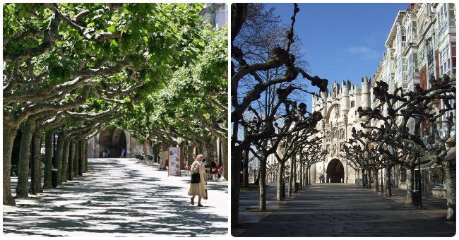 Qué sitios visitar en Burgos ciudad