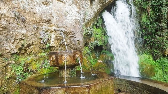 Los mejores sitios para ver en lagos de covadonga